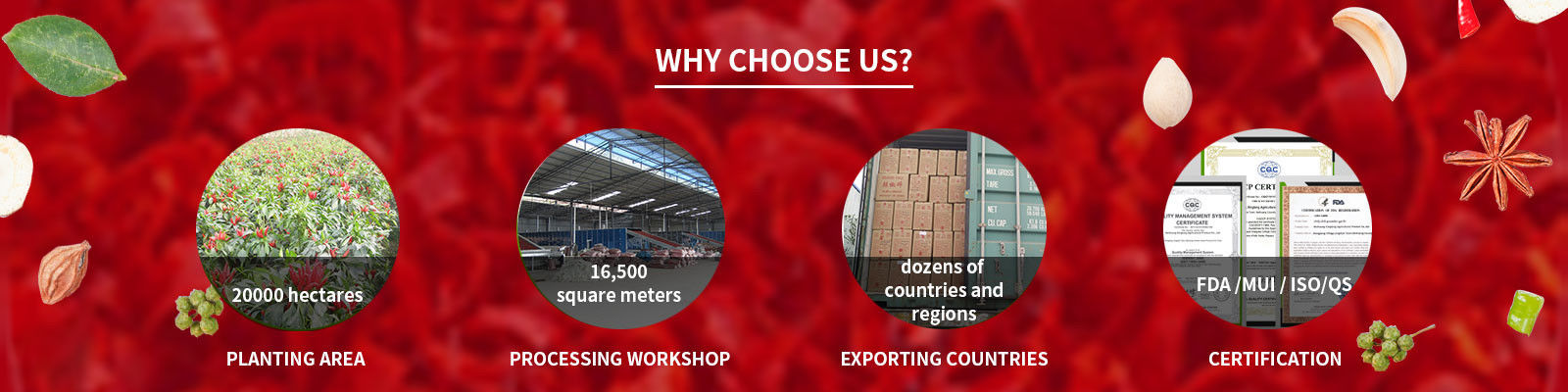 Порошок перца чилей