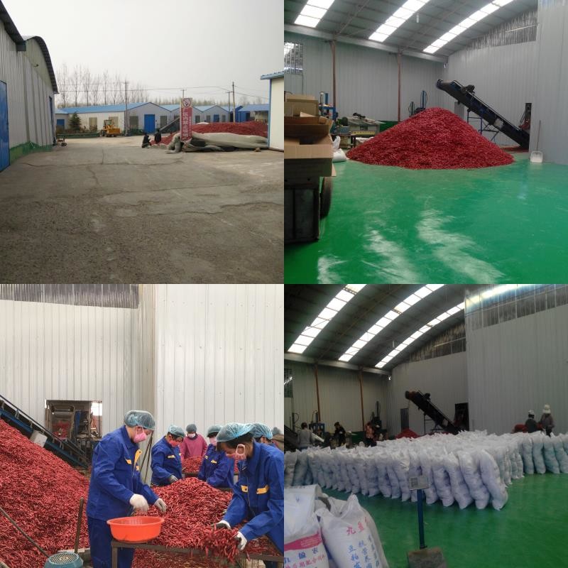 Китай Neihuang Xinglong Agricultural Products Co. Ltd Профиль компании