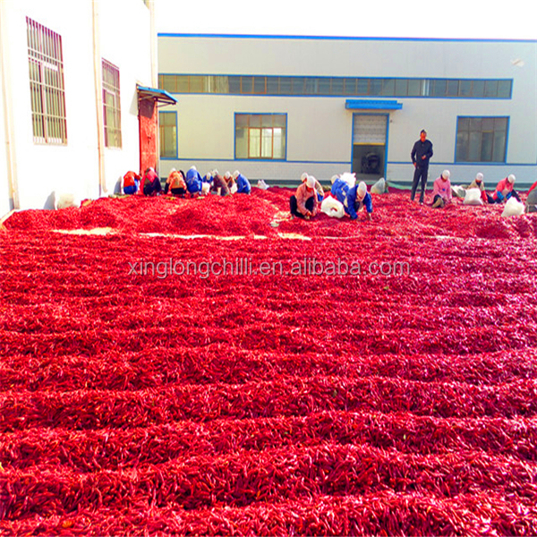 Спецификация chili Тяньцзиня горячей продажи пряного красного
