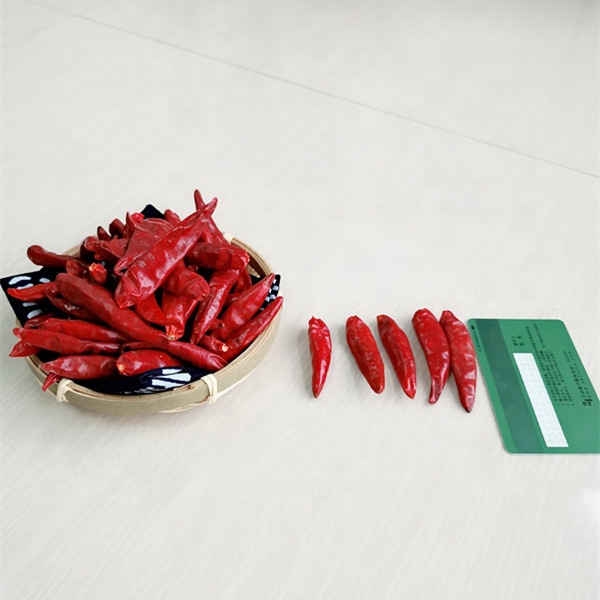 Большинств перец красного Chili конкурентоспособной цены для покупателей
