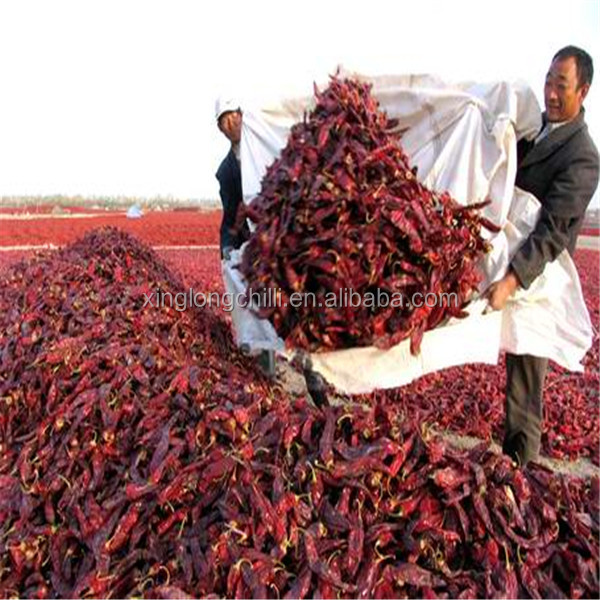 новые чили guajillo Мексики урожая