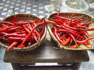 Халяльная аттестованная фабрика chili произвести длинный chili Xian