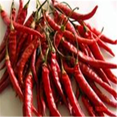 Нул добавок Erjingtiao высушила перцы Chilis едкие обезвоженные горячие