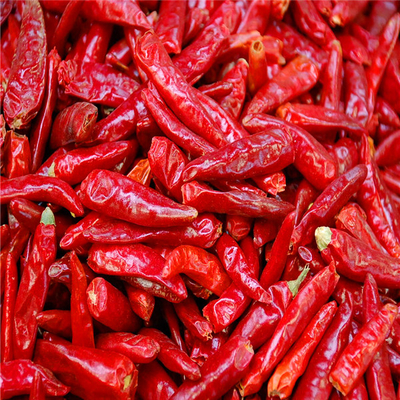 Нул добавок Erjingtiao высушила перцы Chilis едкие обезвоженные горячие