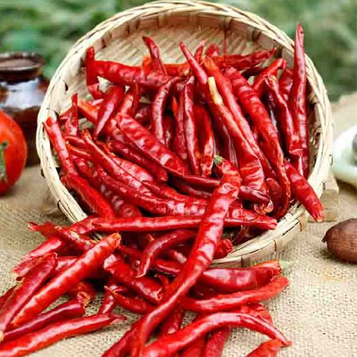 7-19 см длины обезвоживающие чили с вакуумной упаковкой