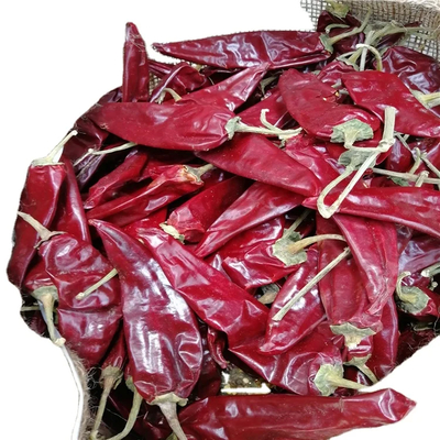 Вкусный сушеный гуахильо чили класс А для соусов Влажность 8%-12%