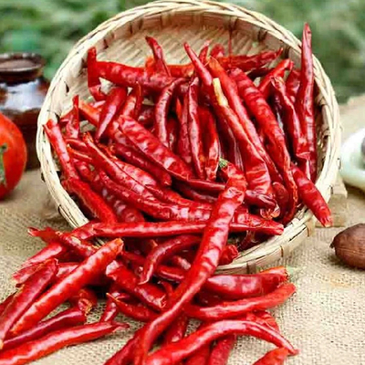 Красная капуста, пряности и приправы для вкусного питания.
