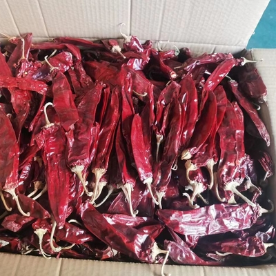1000 cfu/g капусты для вашего бизнеса продуктов питания