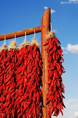 Сертификат Chilies HACCP 20000SHU Sanying Тяньцзиня красный КОШЕРНЫЙ