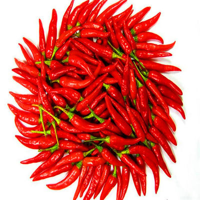 Сертификат Chilies HACCP 20000SHU Sanying Тяньцзиня красный КОШЕРНЫЙ