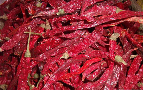 Сладкое Erjingtiao высушило перец Erjingtiao влаги Chilis 12% со стержнем