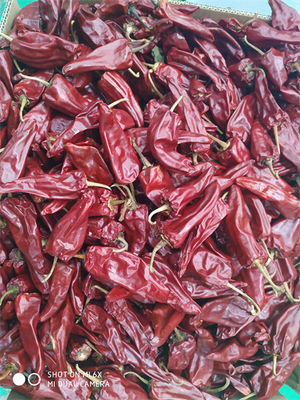 Новый урожай Yidu высушил Chili с аттестацией стержня HACCP