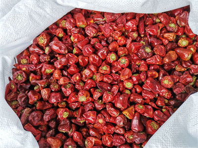 GMP высушил красный перец фонарика перцев чилей 2CM обезвоженный срок годности при хранении 2 год