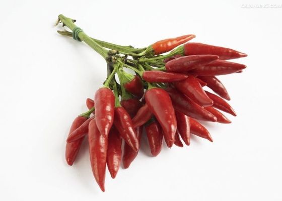 Не облученные слабые высушенные красные Chilies произошли стручки Chili вычеркивают добавку