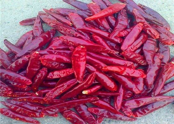 Влага 8% высушила все красные Chilies
