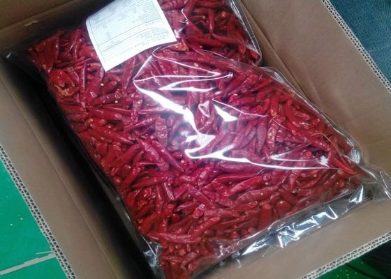 Урожай съестных Chiles Тяньцзиня красных новый произошел высушенные перцы Chili Arbol