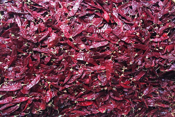 Chilies целого сладкого перца паприки 240ASTA бессемянные высушенные красные ОТСУТСТВИЕ пигмента