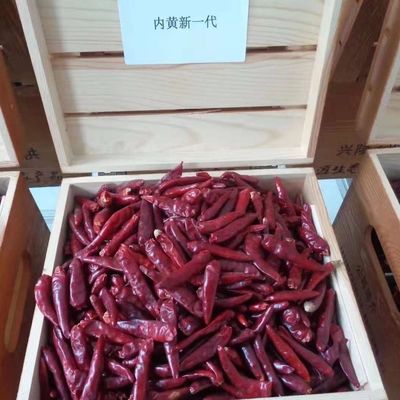 Китайская высушенная красная добавка Chili нул Chaotian перцев Chili высушенная Szechuan