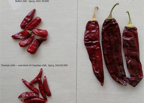 Воздух высушил средства Chilies Тяньцзиня стручки Чили красного горячие происходить высушенные