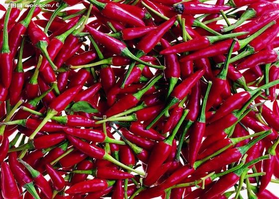Красные чили из Тяньцзиня - настоящий пряный аромат из Китая