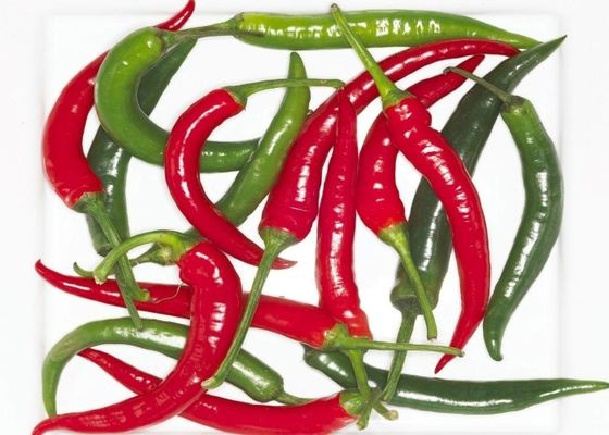 Красное Erjingtiao высушило перцы Chili Chilis пряные происходить обезвоживая