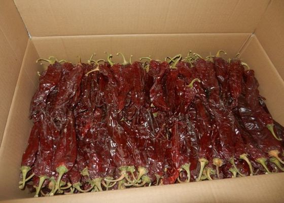 Ручка Мексика Guajillo 220 ASTA высушила влагу Chiles 14% Guajillo