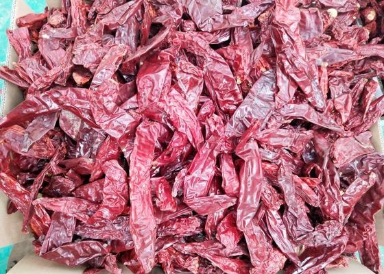 Ручка Мексика Guajillo 220 ASTA высушила влагу Chiles 14% Guajillo
