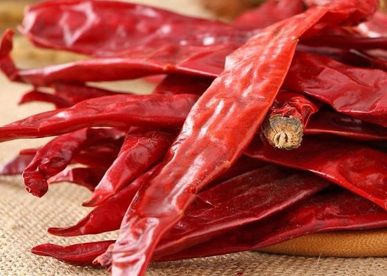 12cm высушило влагу стручков 12% Chili пряных перцев едкую высушенную красную