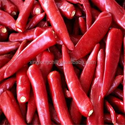 Маринады используют высушенный Chili 7cm Guajillo Солнце высушило красные перцы не пряные