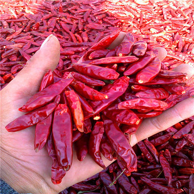 Tientsin высушил перцы красных чилей 15000SHU обезводило пряную красную паприку