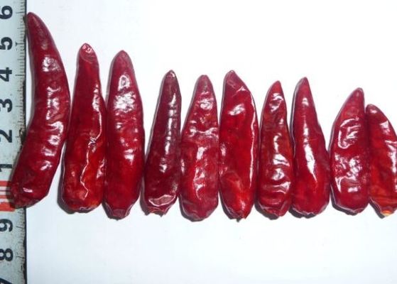 Чилей пули Сычуань перцы горячего Chili GMP красных Stemless высушенные