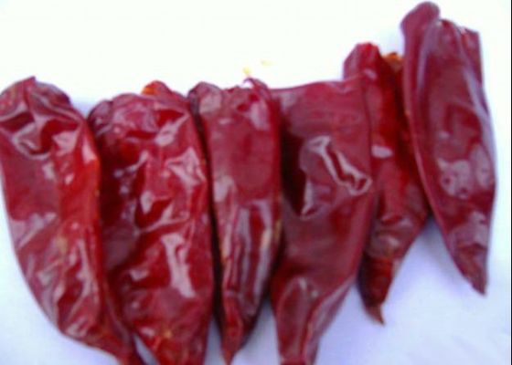 Сырцовый чили 2000 Scoville Chili нул Yidu аддитивные длинные сухие красные