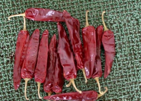 Влажность ≤14% Паприка сладкая Перец красный чили Капсикум с температурой хранения от 0 до 28 °C