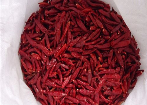 Chilies Кайенна HACCP Тяньцзиня красные высушили влагу стручков 12% Chili