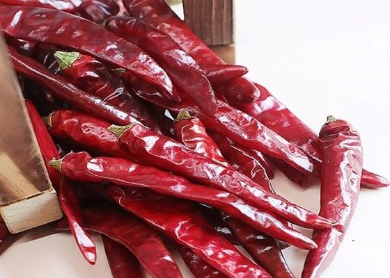 Небольшие Chilies 100g Тяньцзиня красные с пряным вкусом