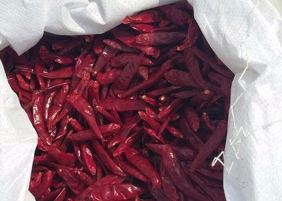 Пикантные маленькие красные чили из Тяньцзиня с высоким содержанием витамина С питательные и вкусные