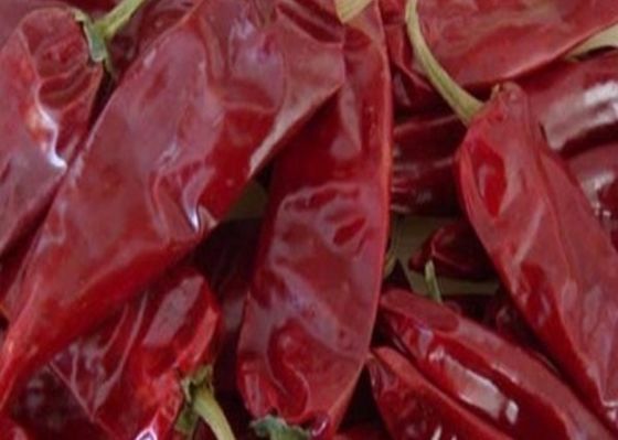 ОБЪЯВЛЕНИЕ Guajillo Chilis вишни 8000SHU красное суша стручки Чили Guajillo вставляет форму