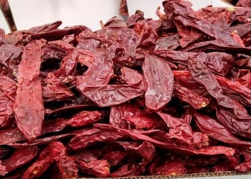 Chiles Калифорния высушили размер Chili Guajillo большой скомплектованный красным рук естественное