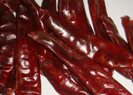 Средние горячие высушенные перцы Чили природы Chili Guajillo красные