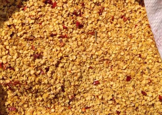 Чили высушенные зерном осеменяют семена HACCP перца 10PPB 15000SHU пряные