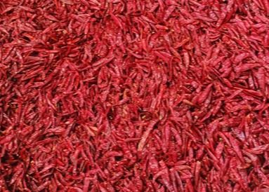 Tientsin высушил птиц наблюдает красные перцы XingLong чилей безводные все