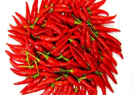 Однородные травы Специи Сушеные красные перец чили с максимальной нечистотой 1%