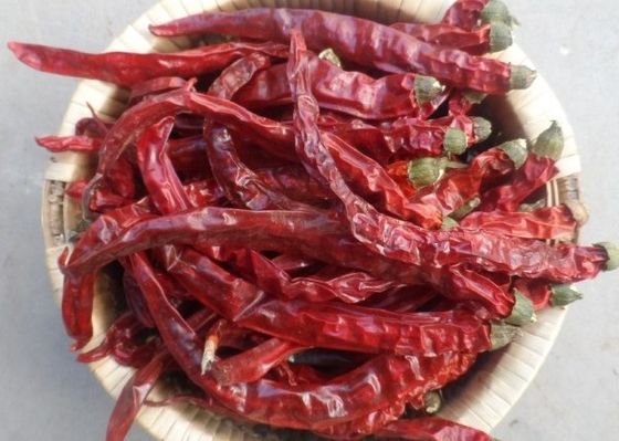 Бака Chili перца пшена Гуйчжоу Mantianxing специи сырья сухого горячего приправляя