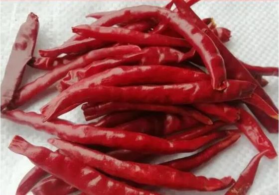 Chaotian высушило обезвоженный Chili Тяньцзиня Chilies красных чилей весь красный