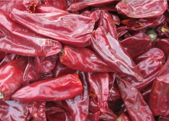 Чили Beijinghong Jinta красного перца Chili 8000 SHU естественные Yidu