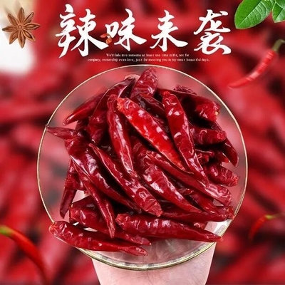 Тяньцзинь Tien Tsin высушил перцы красных чилей для варить ингредиент