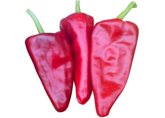 Задавленный красный пеец кулинарного Chili Yidu пудрит с см 8-15/без стержня