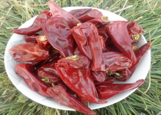 Задавленный красный пеец кулинарного Chili Yidu пудрит с см 8-15/без стержня