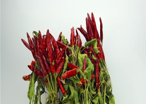Популярное перцев Chili нового см урожая 4-7 азиатское высушенное пряное в ресторанах Сычуань