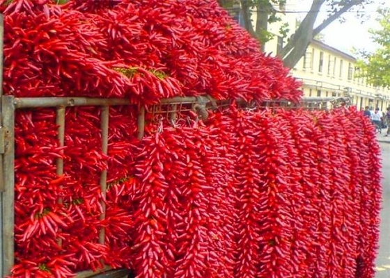 Популярное перцев Chili нового см урожая 4-7 азиатское высушенное пряное в ресторанах Сычуань